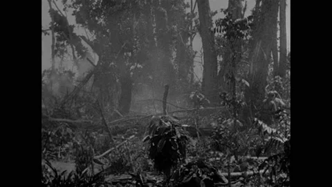 1940s: Grenades explode in jungle. Dead soldiers lie under tree. American and 動画素材 158446111