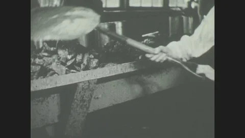 1940s: Hand shovels material . People clean food Stock Footage