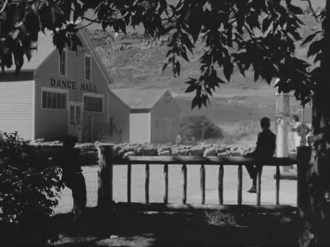 1940s: Herding sheep past Dance Hall Video stock 229208510