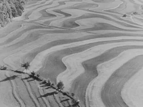1940s: High-angle shots of patterned farmland Stock Footage 221374730