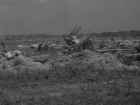 1940s: Land being cleared Stock Footage 231734654