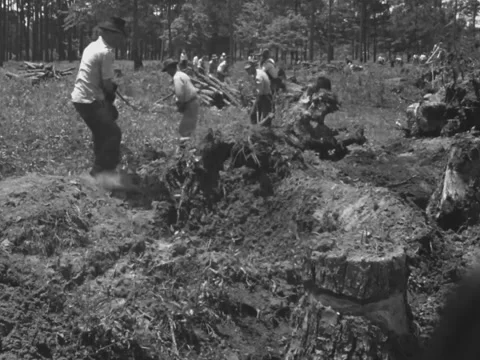 1940s: Line of men pulling on rope Stock Footage 231734625