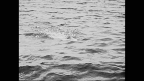 1940s: Man practices all elements of front crawl in lake in slow-motion. Stock Footage 163562137