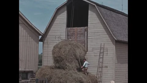 1940s: Man uses a pulley system to load hay into the barn loft. Vídeos de archivo 257364019
