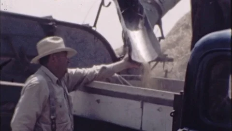 1940s Old Man Working Field Farmer Harvest Wheat Crop Vintage Film Home Movie 스톡 동영상 79866379