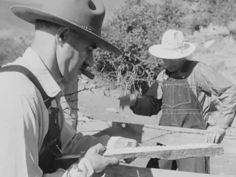1940s: Ranchers count sheep as they exit corral Stock Footage 170466997