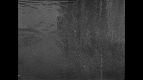 1940s: Ripples on pond form as stones are tossed into water. Young couple toss Stock Footage