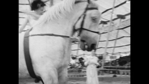1940s: Trainers observe bareback acrobat and horse on circus floor. Clown stand Stock Footage 129277111