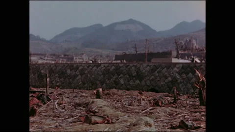 1940s: Wall runs along plot of land with destroyed tree stumps, rubble, garbage. Vídeos de archivo 159368757