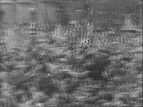 1942 WORLD WAR TWO NUREMBERG RALLY: Hitler and Nazis March Stock Footage 77855306