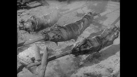 1943-Pacific War / Bataan / Philippines / 1943 Stock Footage 77913053