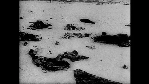 1943-Russian Campaign / Second World War / USSR / 1943 Stock Footage