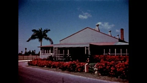 1944-Air Force Base / United States Air Force / 1944 Stock Footage