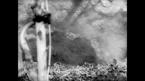 1944-Mount Vesuvius / Volcanic Eruption / Italy / 1944 Video stock 77826221