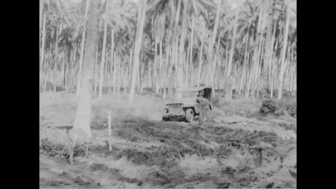 1944 - While his photos are being developed, a USAF reconnaissance pilot gives a Stock Footage 100599601