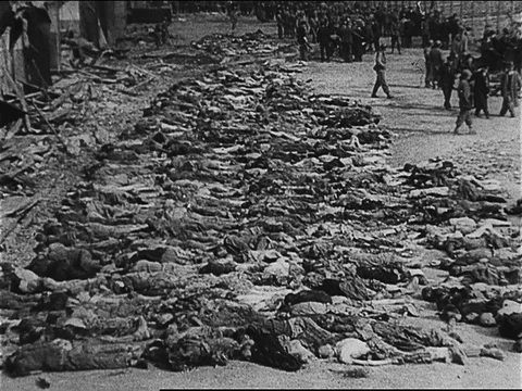 1945-Belsen Trial / Postwar Period / Germany / 1945 Vidéo 77883307