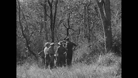 1945 - British officers command Indian troops in the jungle in Gudalur. Stock Footage 173403832