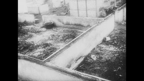 1945-Concentration Camp / KZ Majdanek / Poland / 1945 Stock Footage