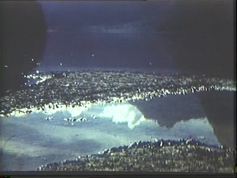 1945-Eva Braun / Excursion / Lake / Germany / 3rd Reich Stock Footage 77862231