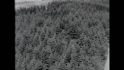 1945 - Excellent aerial view of buzz bomb launch sites hidden in and around a Stock Footage 203713175