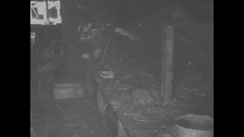 1945-Holocaust / Second World War / 1945 Stock Footage