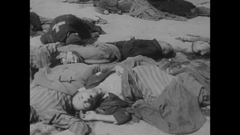 1945-Holocaust / Second World War / 1945 Vidéo 77909291