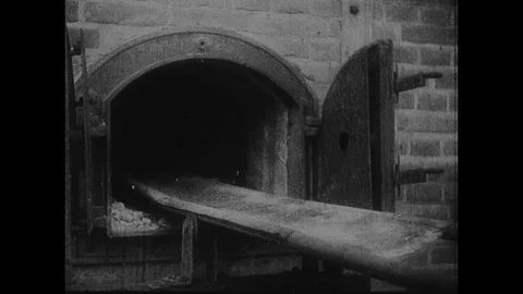1945-KZ Majdanek / Majdanek / Poland / 1945 Stock Footage