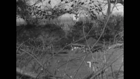 1945 - Mangled bodies of dead German soldiers. Stock Footage 203778378