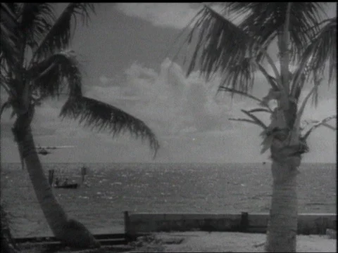 1945-Military Base / USA / Second World War Stock Footage 77864855