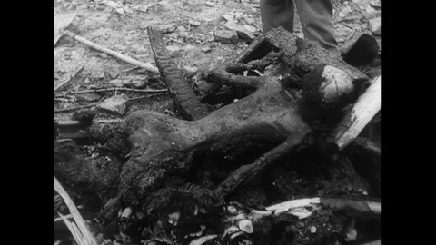 1945-Prisoner-of-War Camp / Ohrdruf / Germany / 1945 Stock Footage