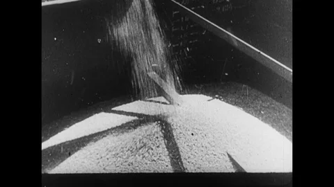 1945-Second World War / Romania / 1933 - 1945 Stock Footage