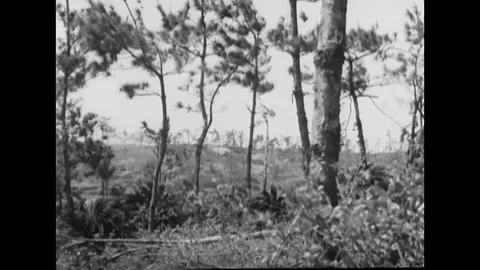 1945 - Shells are exploding on a ridge of Okinawa Island. Two marines are Stock Footage 226613343