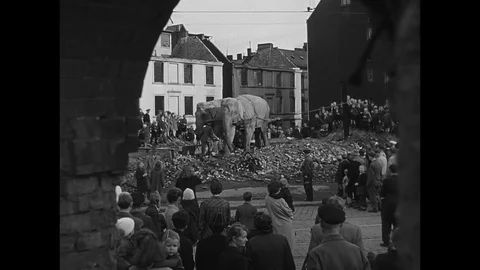 1945-Zoo / Hagenbeck / Hamburg / Germany / 1945 Stock Footage 77852843
