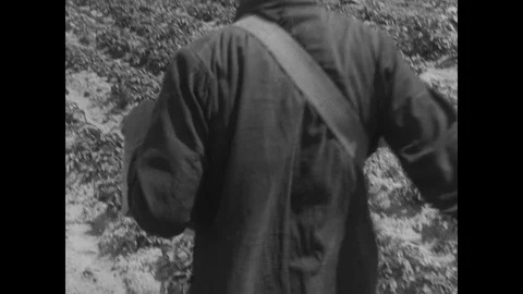 1946-Agriculture / Germany / Jun 3, 1946 Stock Footage