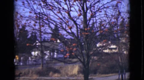 1946: town in the distance ALASKA Stock Footage