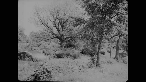 1946 - Unused ammunition is rounded up in postwar Britain and dumped into the Stock Footage 160973991