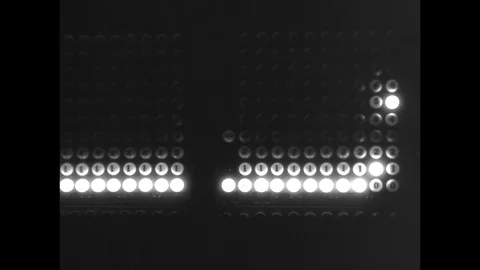 1947-Electronic Numerical Integrator and Computer / Computer Technology / USA / Stock Footage 77845847