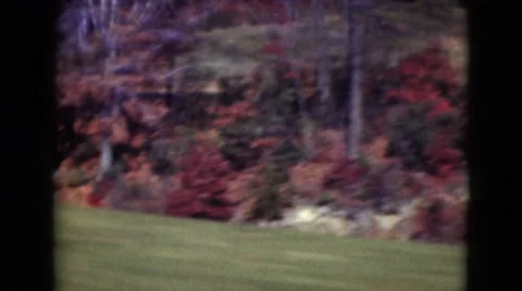 1947: forest area is seen MIDDLETOWN Stock Footage