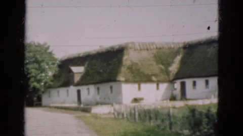 1948: countryside home grows corn out on the farm DENMARK Stock Footage