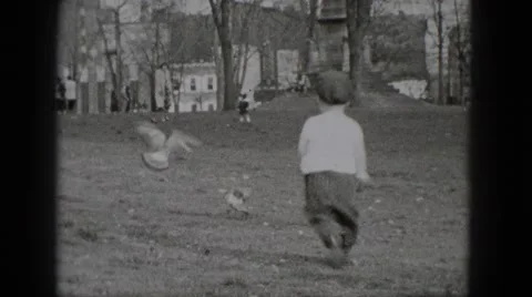 1948: funny kid wearing hat chasing flying birds in the park MIDDLETOWN Stock Footage
