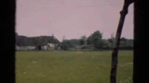 1948: garden is seen DENMARK Stock Footage