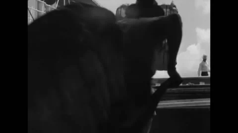 1948 - Indonesian men are loading bales of cotton from a ship onto carts. Stock Footage 218358940