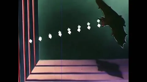 1949 - Bats' echolocation is likened to men using radar equipment, and huge Stock Footage 246363517