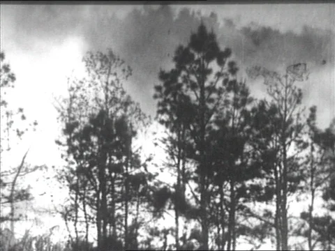 1949-Fire / Catastrophe / 1940-1959 Stock Footage