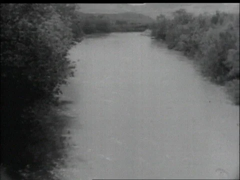1949-Israel / 1930-1949 Stock Footage