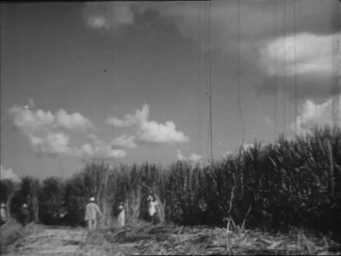 1949-Reenactment / USA / 1940-1949 Stock Footage 77865853