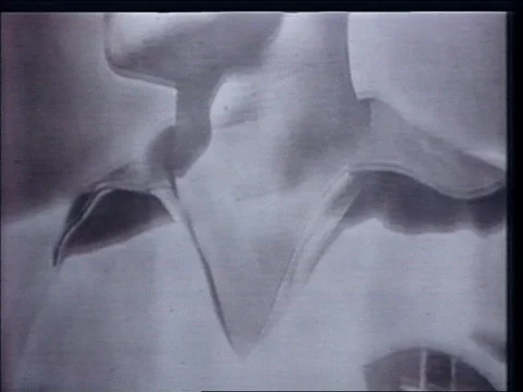 1950-World Championship / Brazil / 1950 Stock Footage