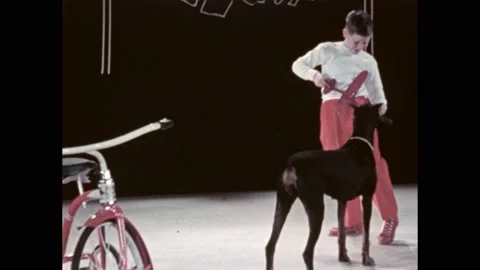 1950s:  Boy struggles to attach a rubber band to a toy plane, while a dog looks Stock Footage 188800279