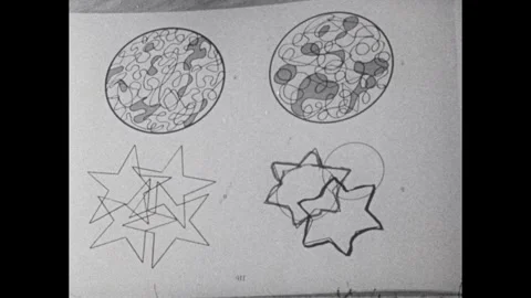 1950s: Boy traces shapes in test booklet with pen. Boy traces star, struggles to Video stock 243365682