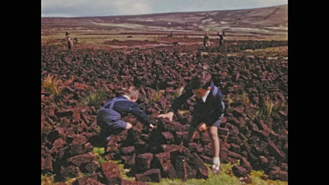 1950s: Boys stack clay bricks into small cairns in field. Stock Footage 139250542